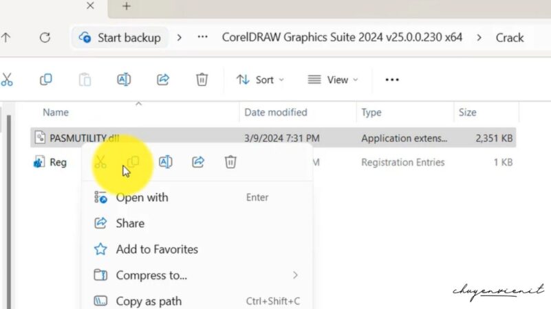 vao-file-crack-copy-pasmutility Vào file copy Pasmutility.dll